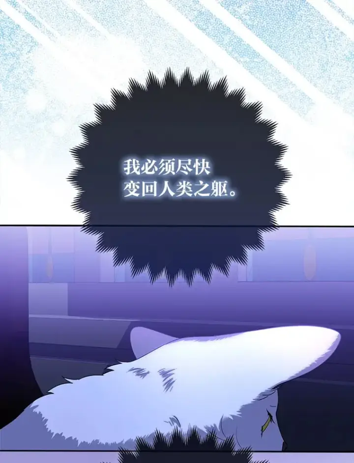漫画《大公家的狐狸皇女》2.坎坷的人生第84张图