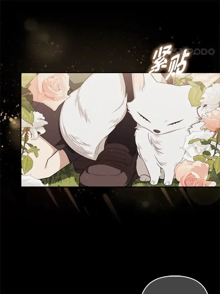 漫画《大公家的狐狸皇女》3.求收养！第28张图