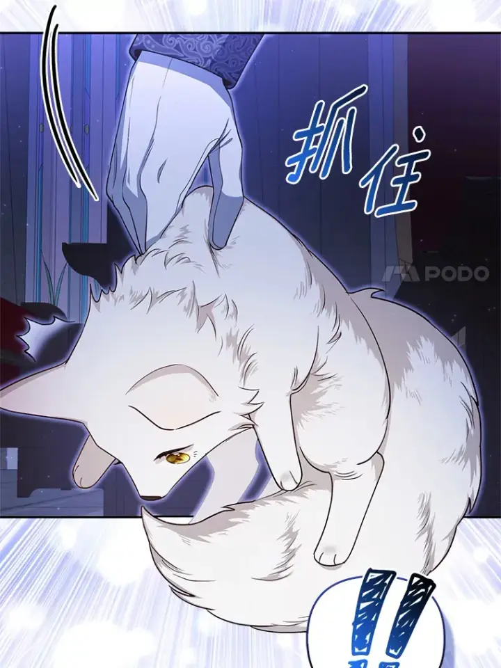 漫画《大公家的狐狸皇女》3.求收养！第47张图