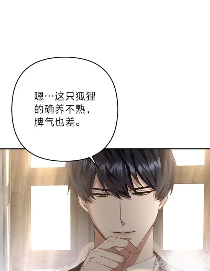 漫画《大公家的狐狸皇女》4.我的狐狸第108张图