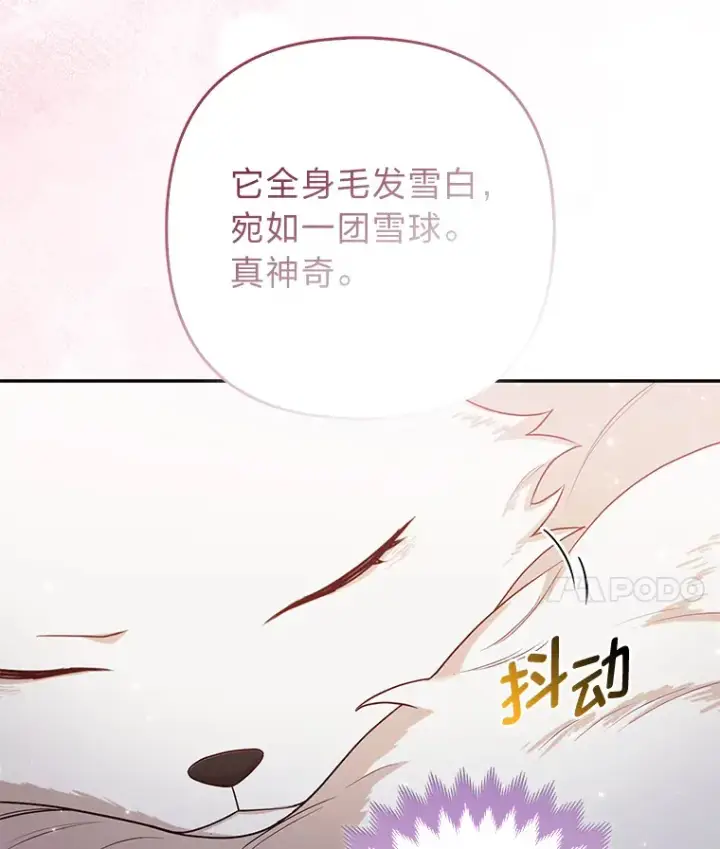 漫画《大公家的狐狸皇女》4.我的狐狸第19张图