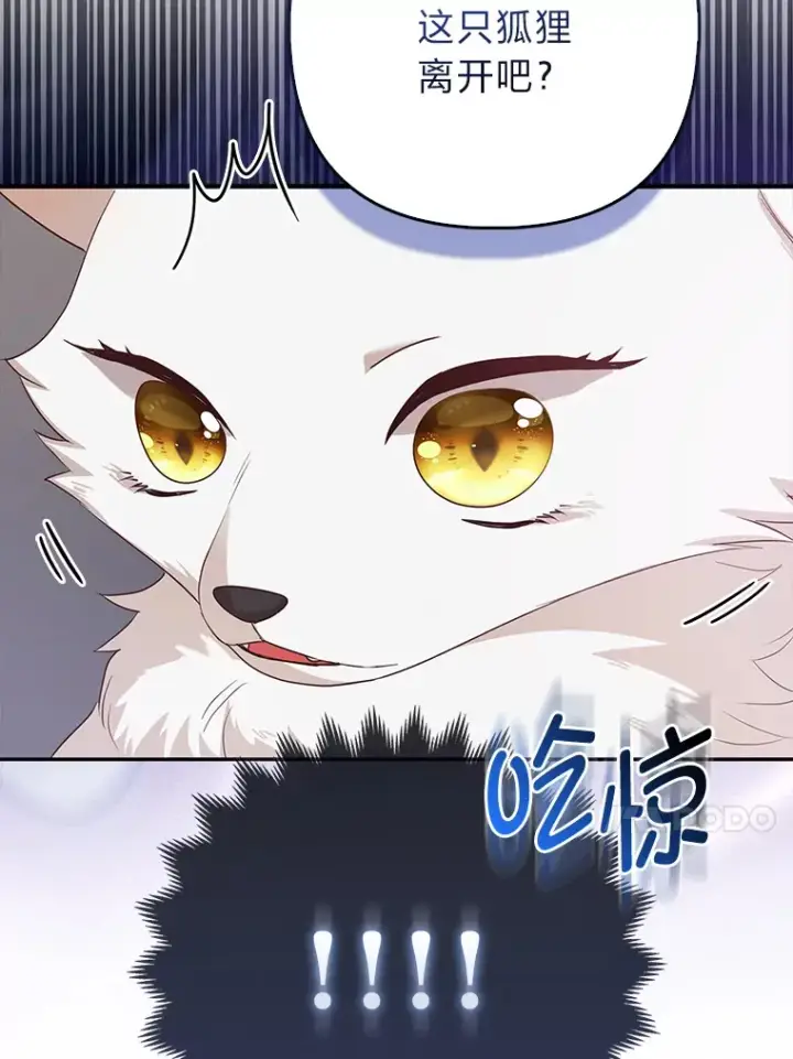 漫画《大公家的狐狸皇女》4.我的狐狸第32张图