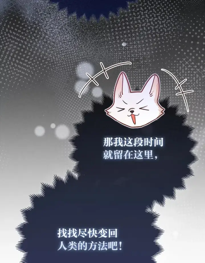 漫画《大公家的狐狸皇女》4.我的狐狸第95张图