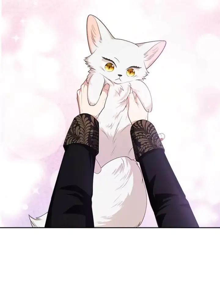 漫画《大公家的狐狸皇女》6.早已洞察的大公第12张图