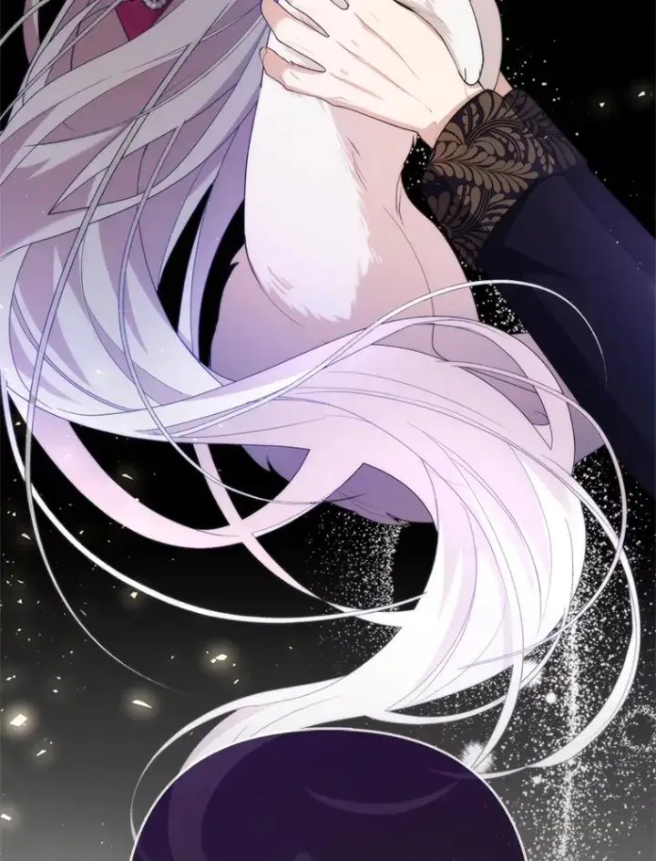 漫画《大公家的狐狸皇女》6.早已洞察的大公第16张图