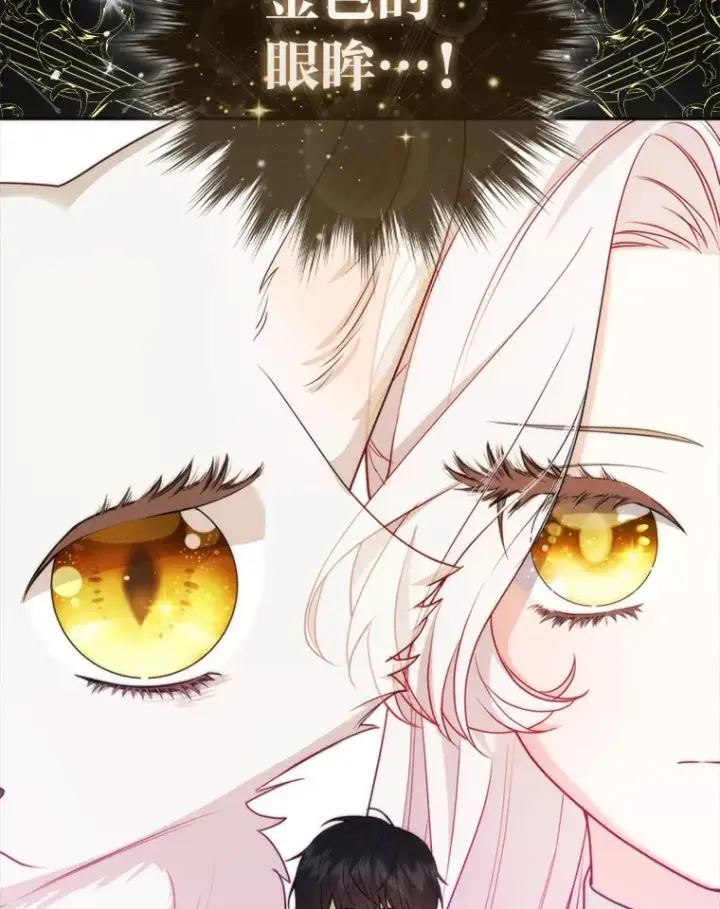 漫画《大公家的狐狸皇女》6.早已洞察的大公第36张图