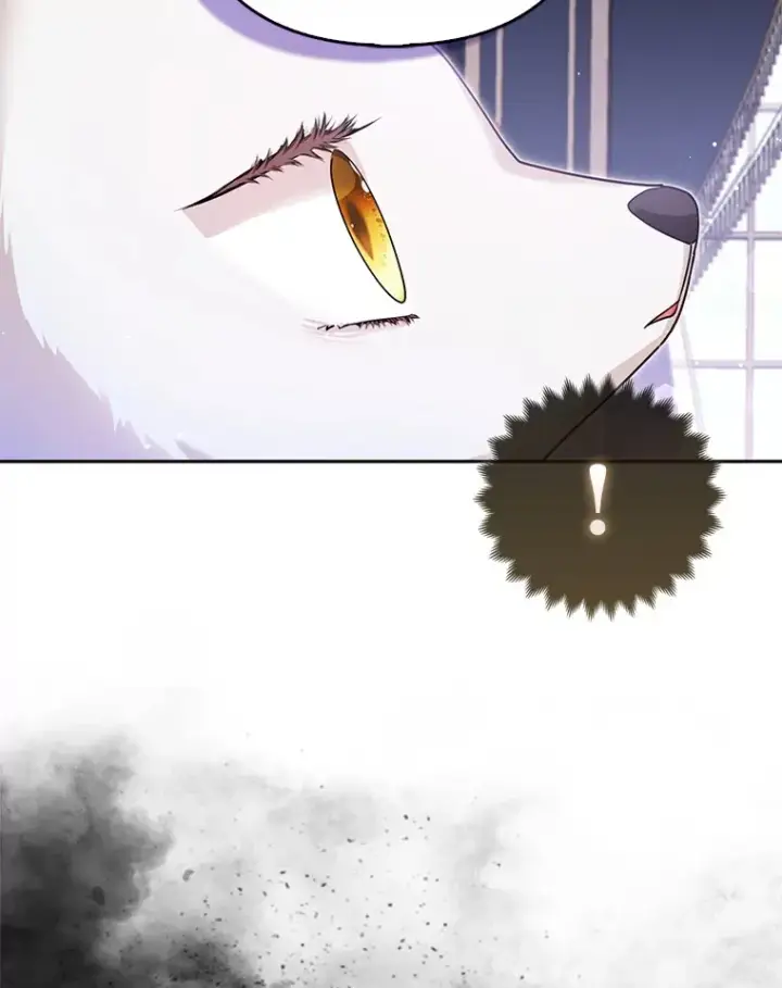 漫画《大公家的狐狸皇女》6.早已洞察的大公第47张图