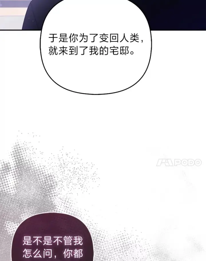 漫画《大公家的狐狸皇女》6.早已洞察的大公第51张图