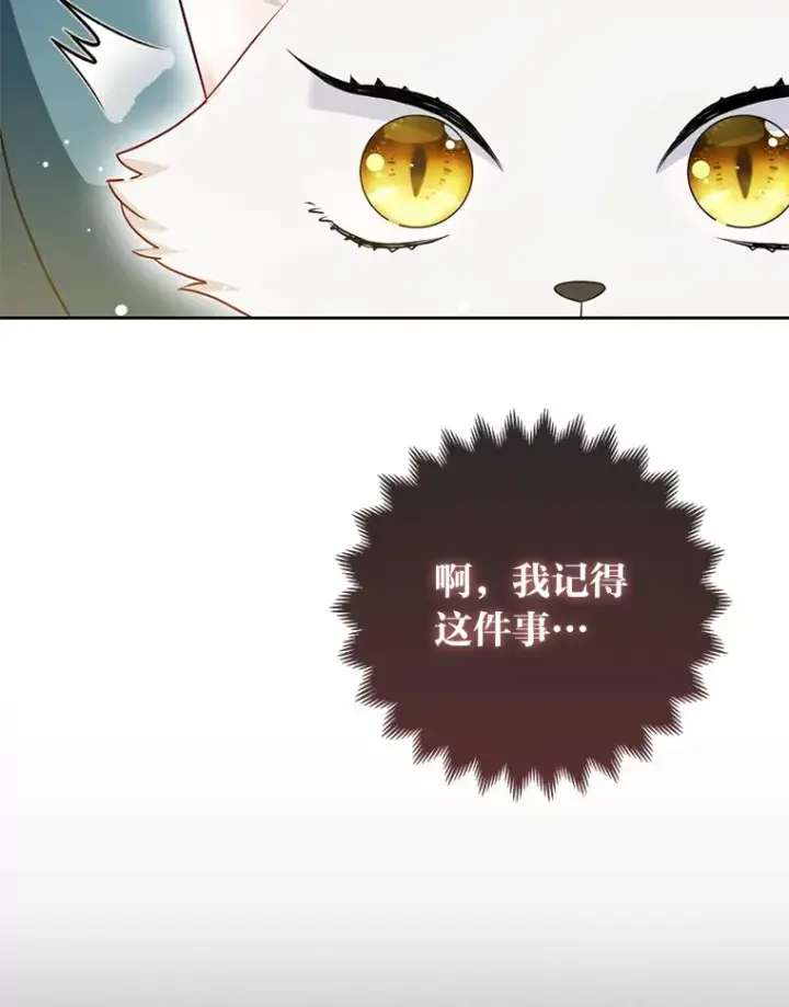 漫画《大公家的狐狸皇女》7.与帕特里克对峙第16张图