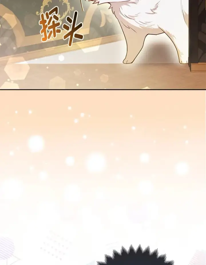 漫画《大公家的狐狸皇女》7.与帕特里克对峙第73张图