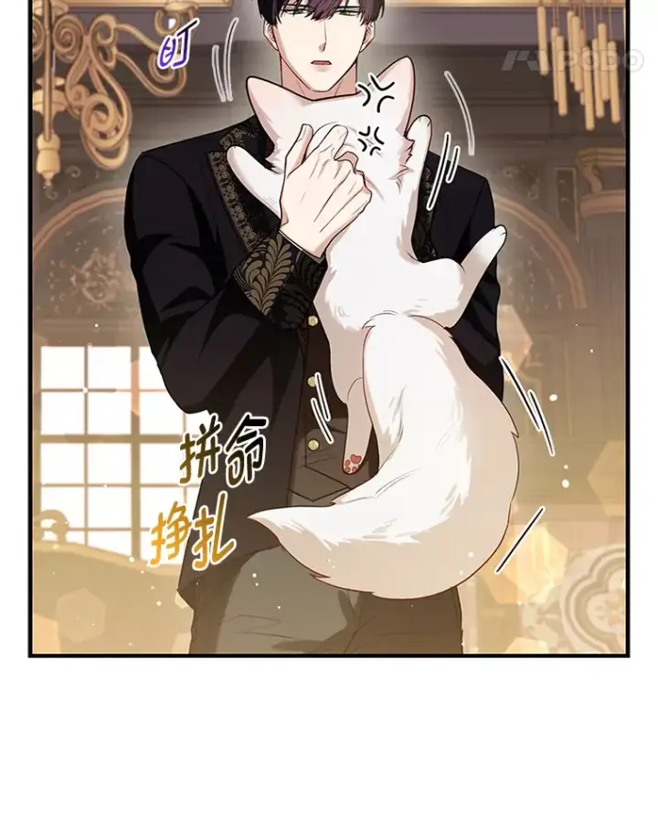 漫画《大公家的狐狸皇女》8.傲娇大公第17张图