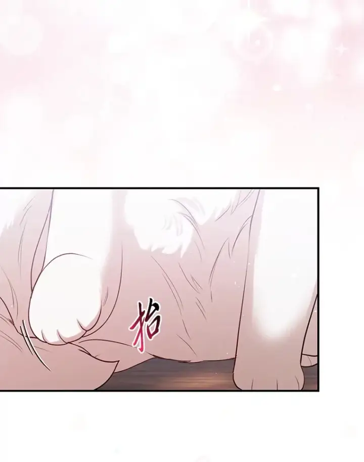 漫画《大公家的狐狸皇女》9.化身乖巧小狐狸第76张图