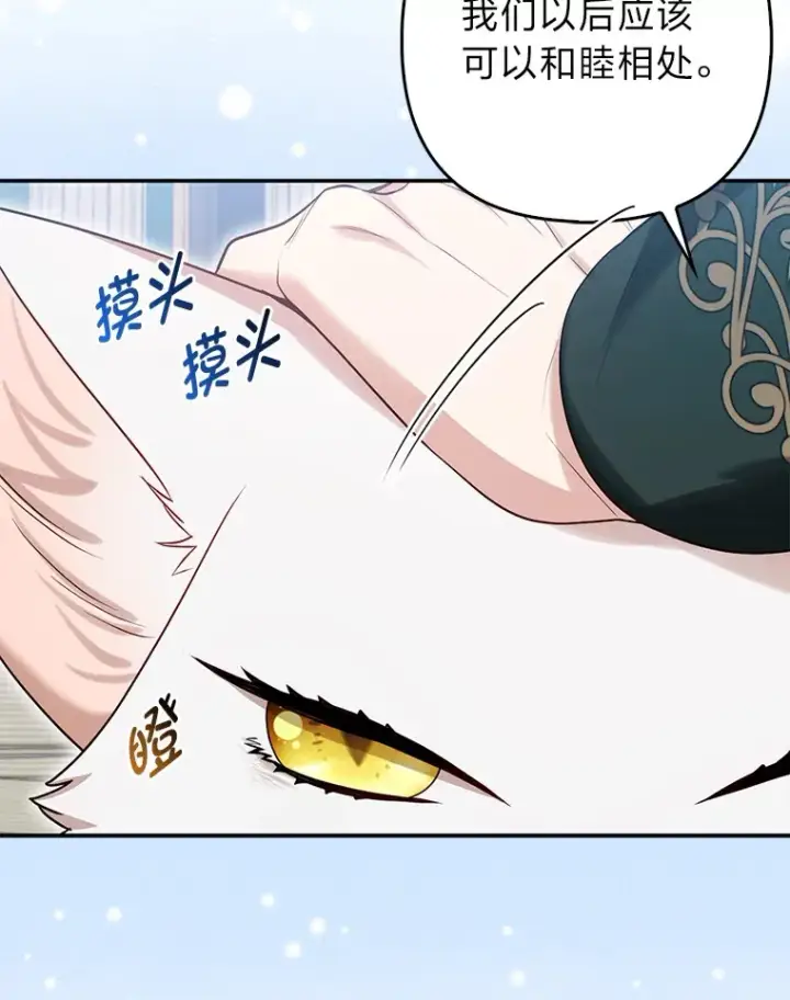漫画《大公家的狐狸皇女》9.化身乖巧小狐狸第82张图