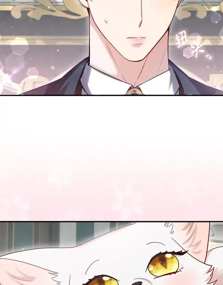 漫画《大公家的狐狸皇女》9.化身乖巧小狐狸第9张图