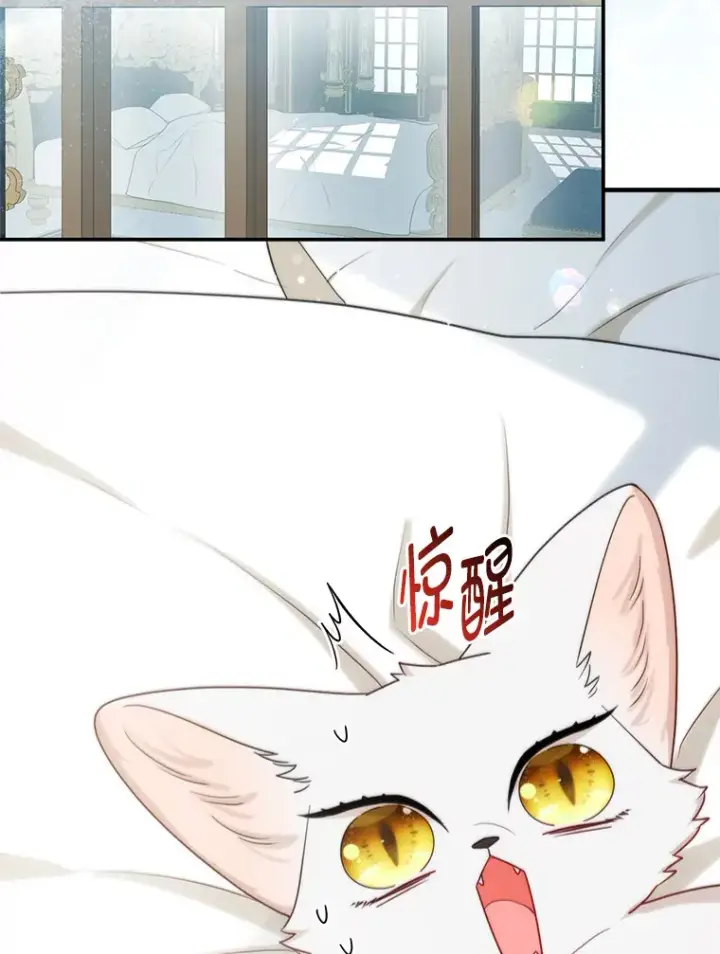 漫画《大公家的狐狸皇女》11.各自的朋友第2张图