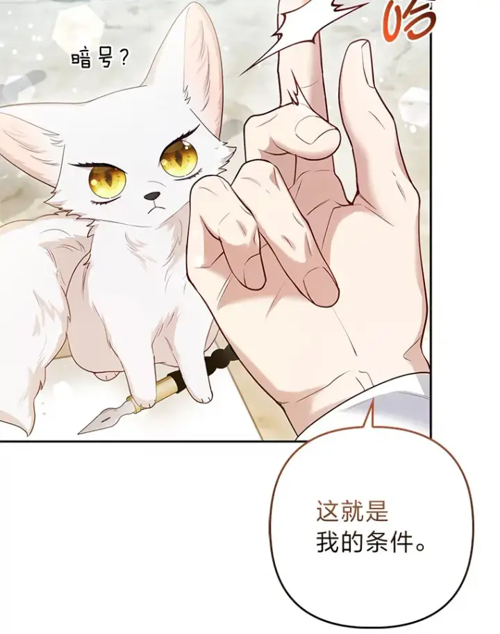 漫画《大公家的狐狸皇女》13.宴会前的准备第13张图