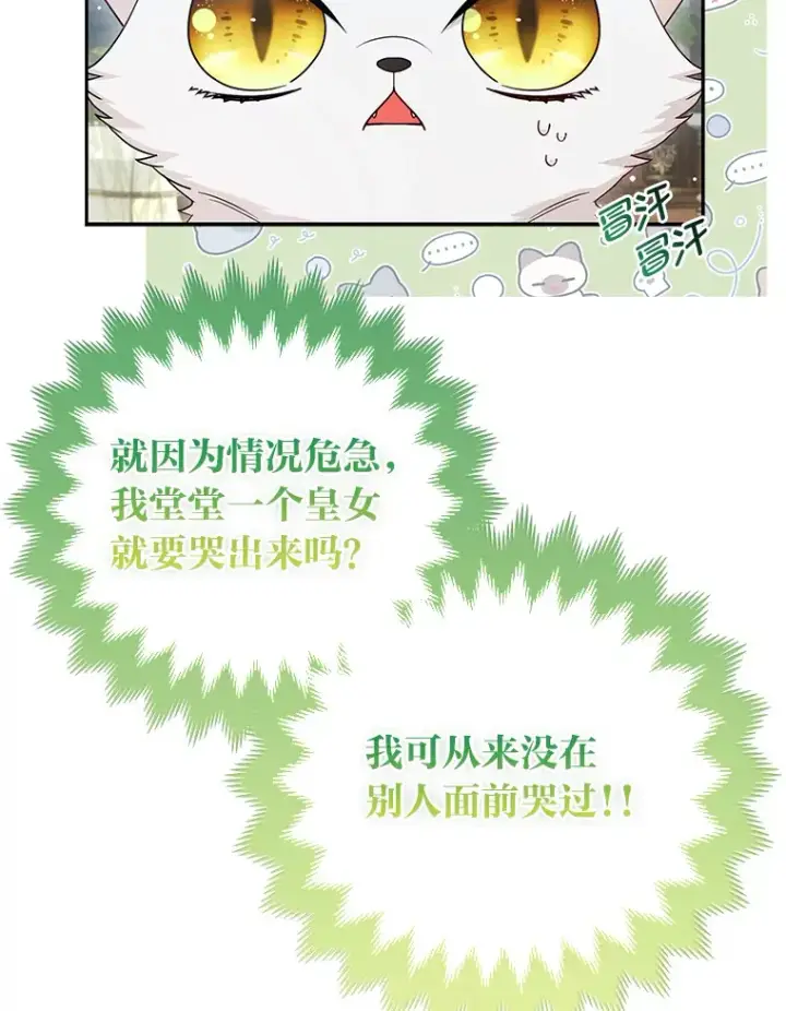 漫画《大公家的狐狸皇女》13.宴会前的准备第19张图