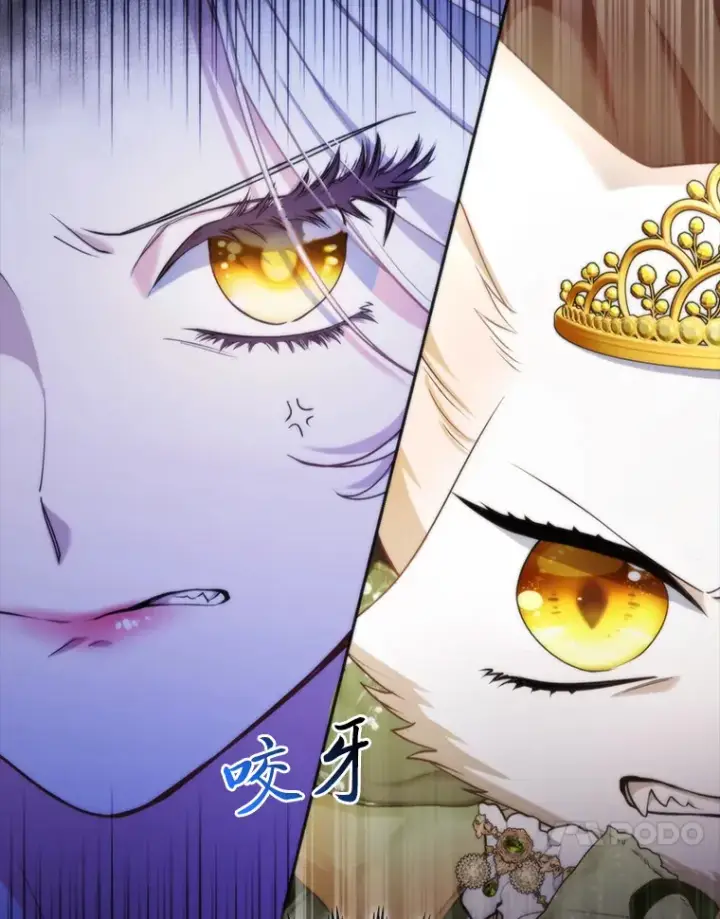 漫画《大公家的狐狸皇女》16.阿祖尔迪夫妇第120张图