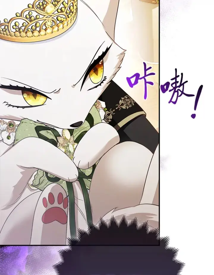 漫画《大公家的狐狸皇女》16.阿祖尔迪夫妇第65张图