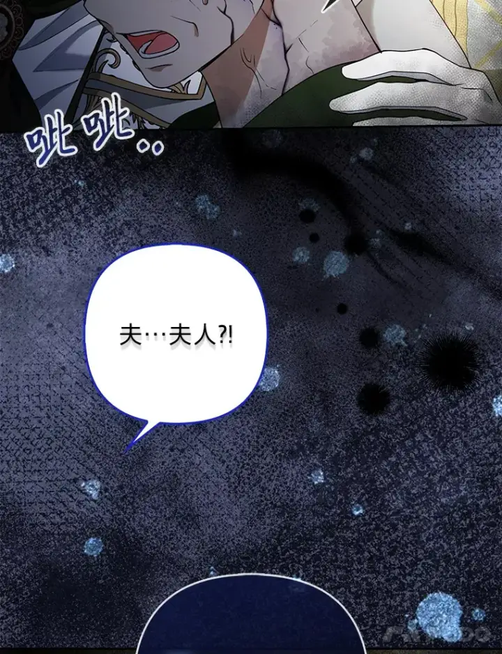 漫画《大公家的狐狸皇女》16.阿祖尔迪夫妇第78张图