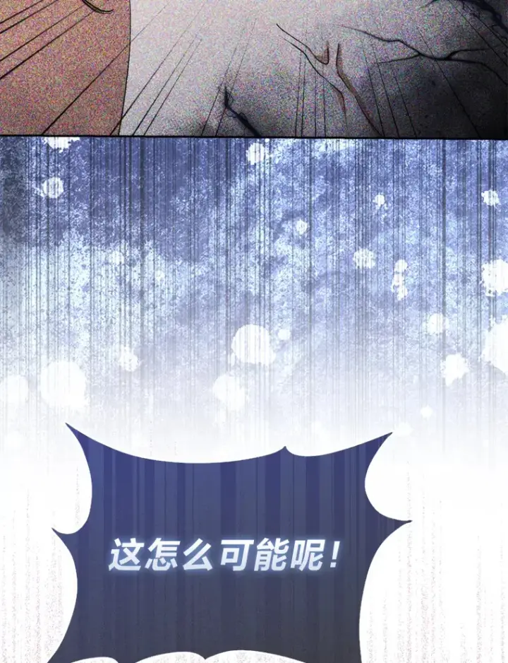 漫画《大公家的狐狸皇女》16.阿祖尔迪夫妇第83张图