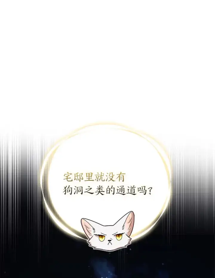 漫画《大公家的狐狸皇女》20.洛温的建议第70张图