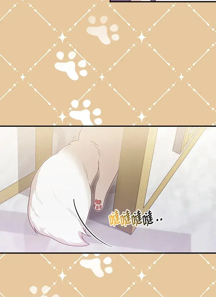 漫画《大公家的狐狸皇女》第5话第36张图