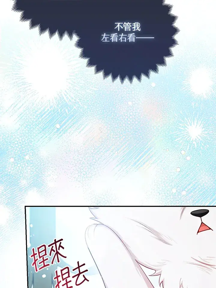 漫画《大公家的狐狸皇女》第10话第14张图