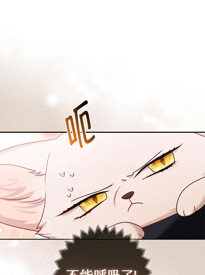 漫画《大公家的狐狸皇女》第10话第40张图