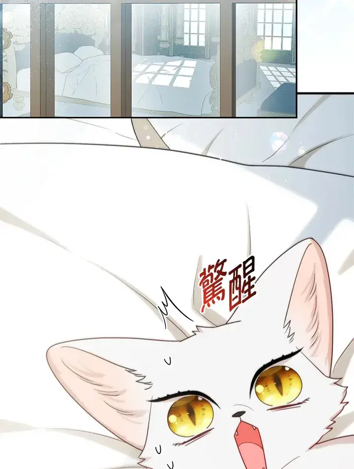 漫画《大公家的狐狸皇女》第11话第2张图