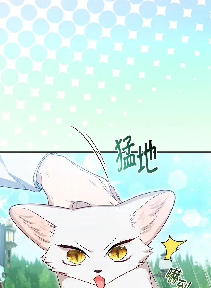 漫画《大公家的狐狸皇女》第11话第34张图