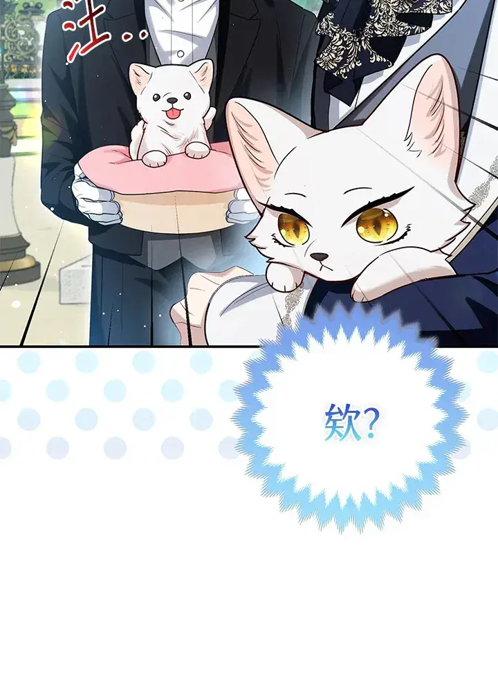 漫画《大公家的狐狸皇女》第11话第41张图