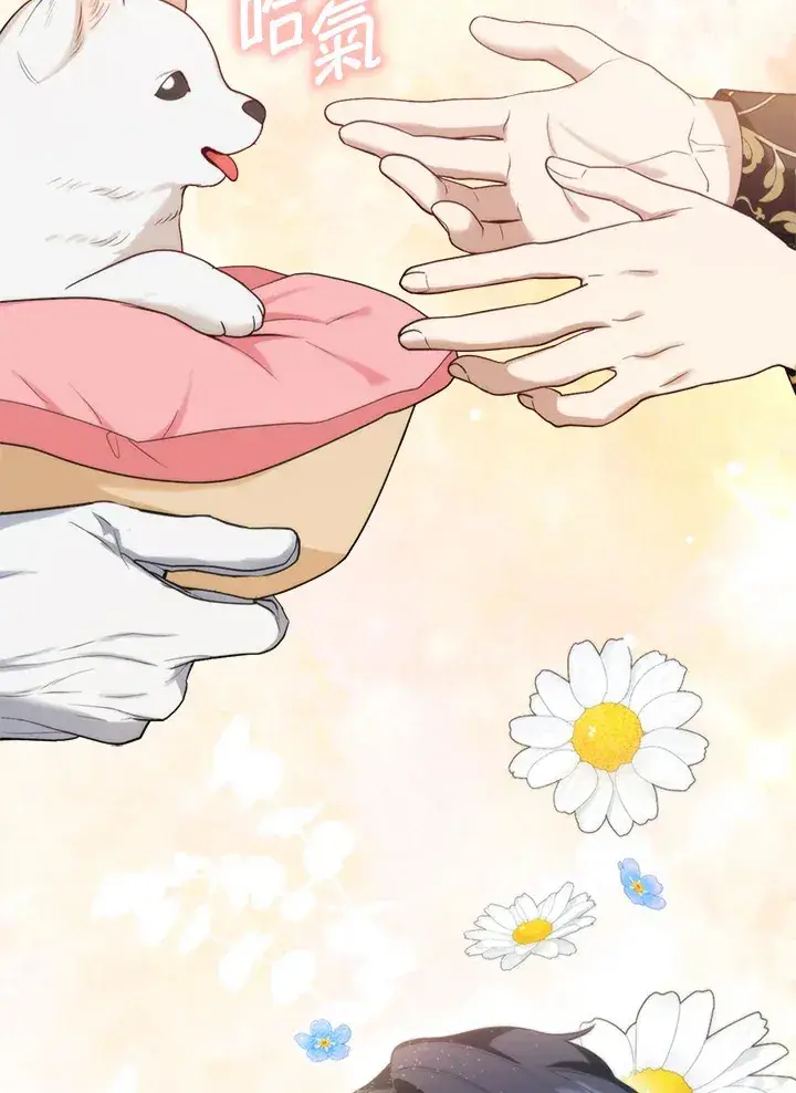漫画《大公家的狐狸皇女》第11话第43张图