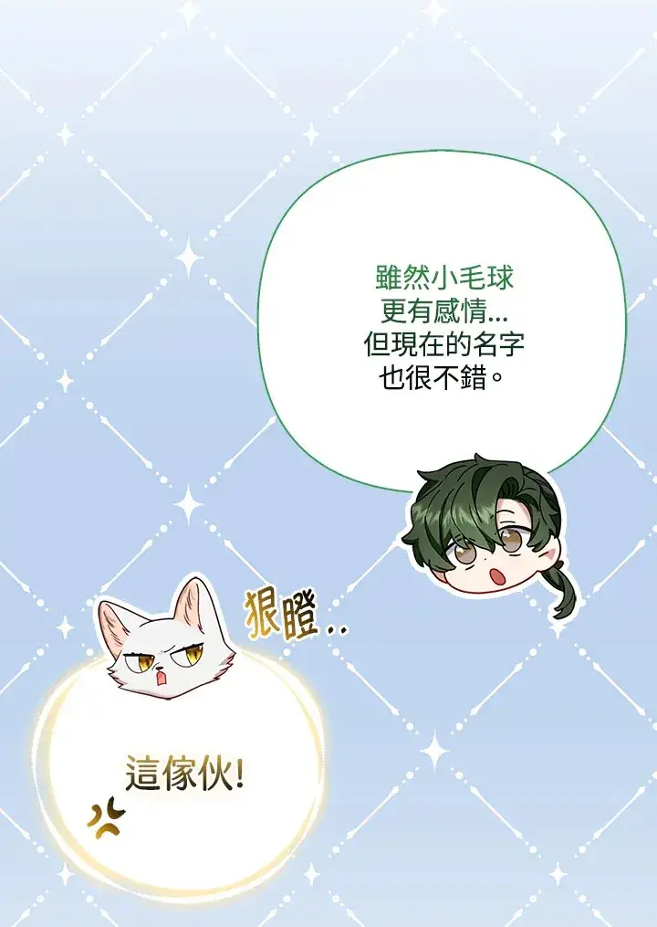 漫画《大公家的狐狸皇女》第11话第91张图