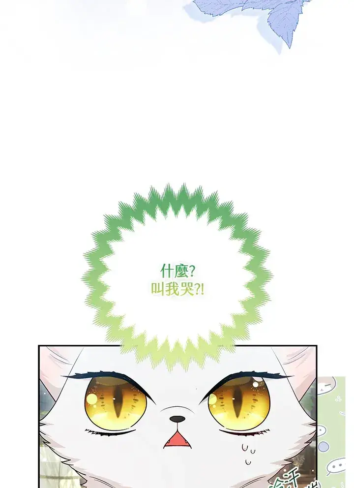 漫画《大公家的狐狸皇女》第13话第17张图