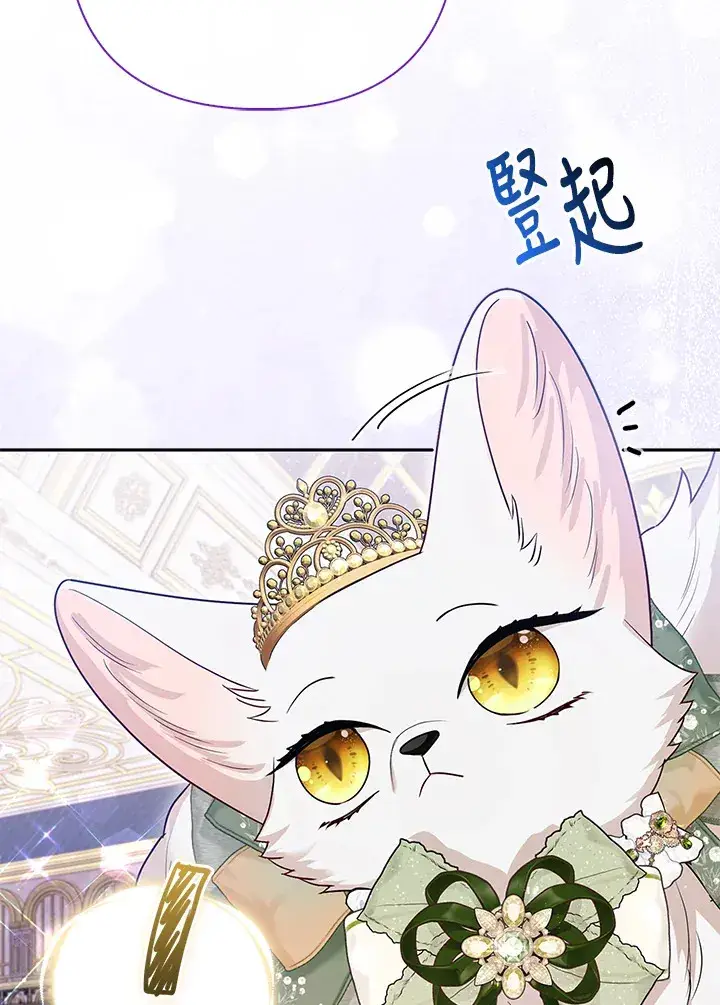 漫画《大公家的狐狸皇女》第14话第45张图