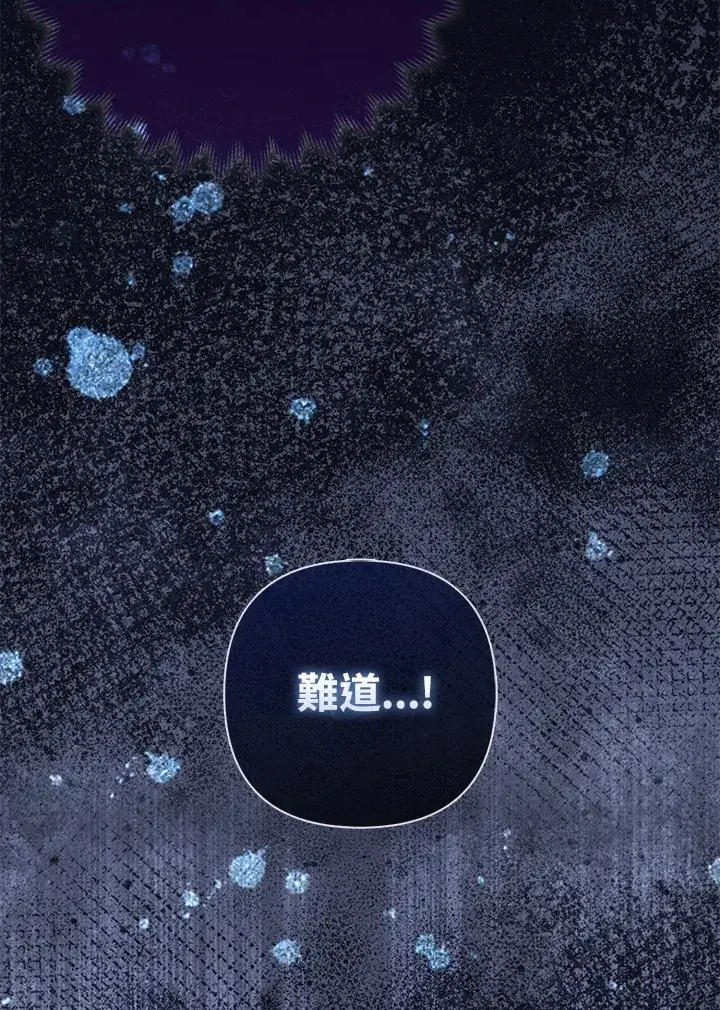 漫画《大公家的狐狸皇女》第16话第74张图