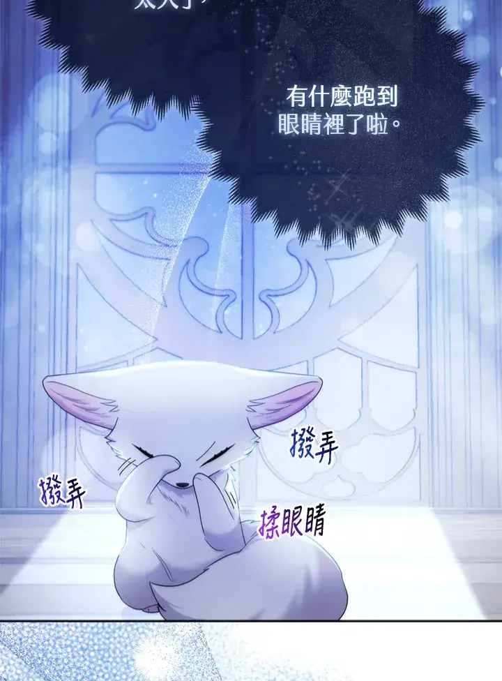 漫画《大公家的狐狸皇女》第17话第91张图