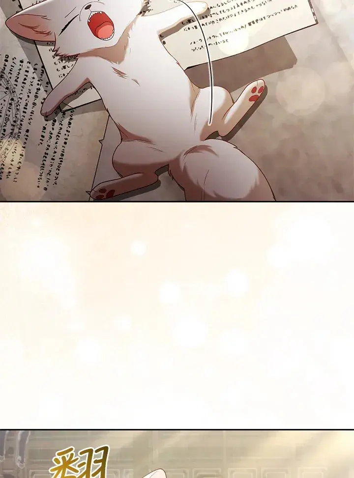 漫画《大公家的狐狸皇女》第18话第35张图