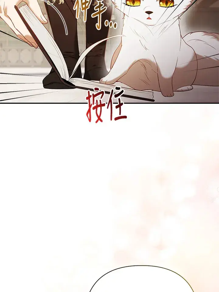 漫画《大公家的狐狸皇女》第18话第65张图
