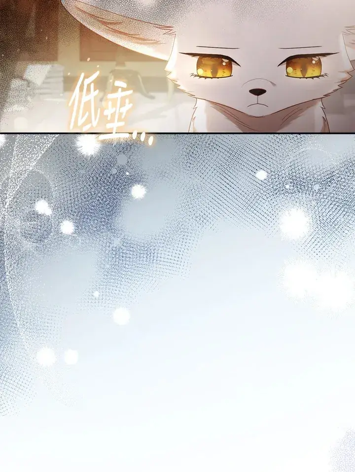 漫画《大公家的狐狸皇女》第18话第73张图
