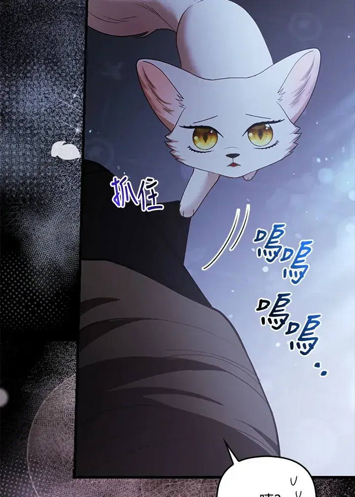 漫画《大公家的狐狸皇女》第19话第64张图