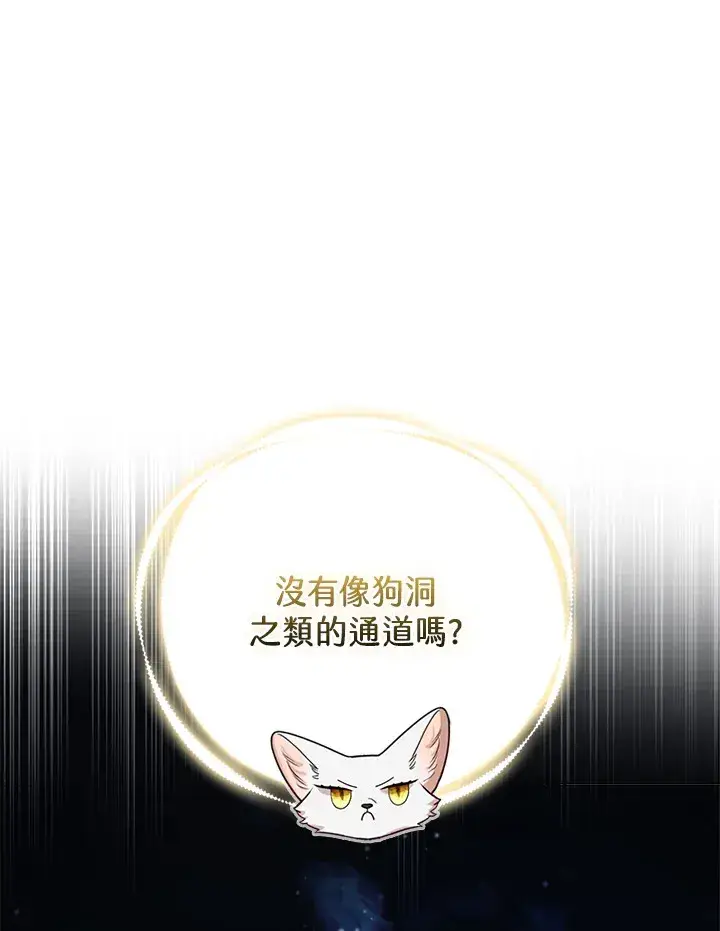 漫画《大公家的狐狸皇女》第20话第64张图