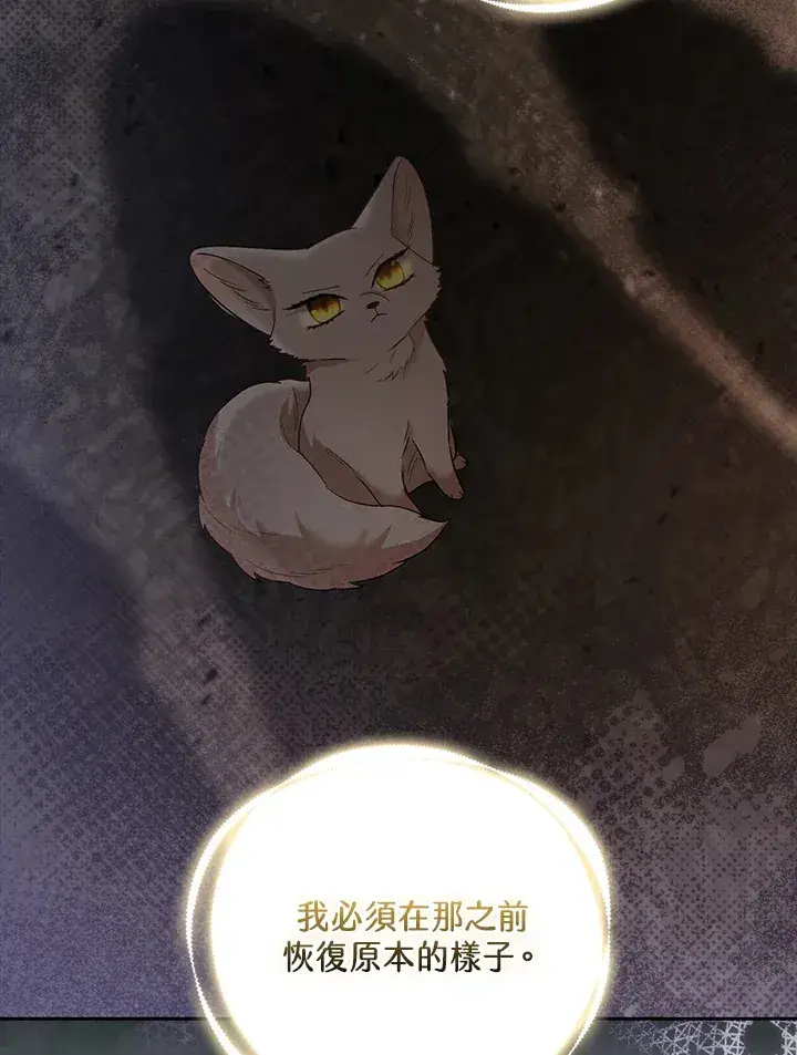 漫画《大公家的狐狸皇女》第24话第49张图