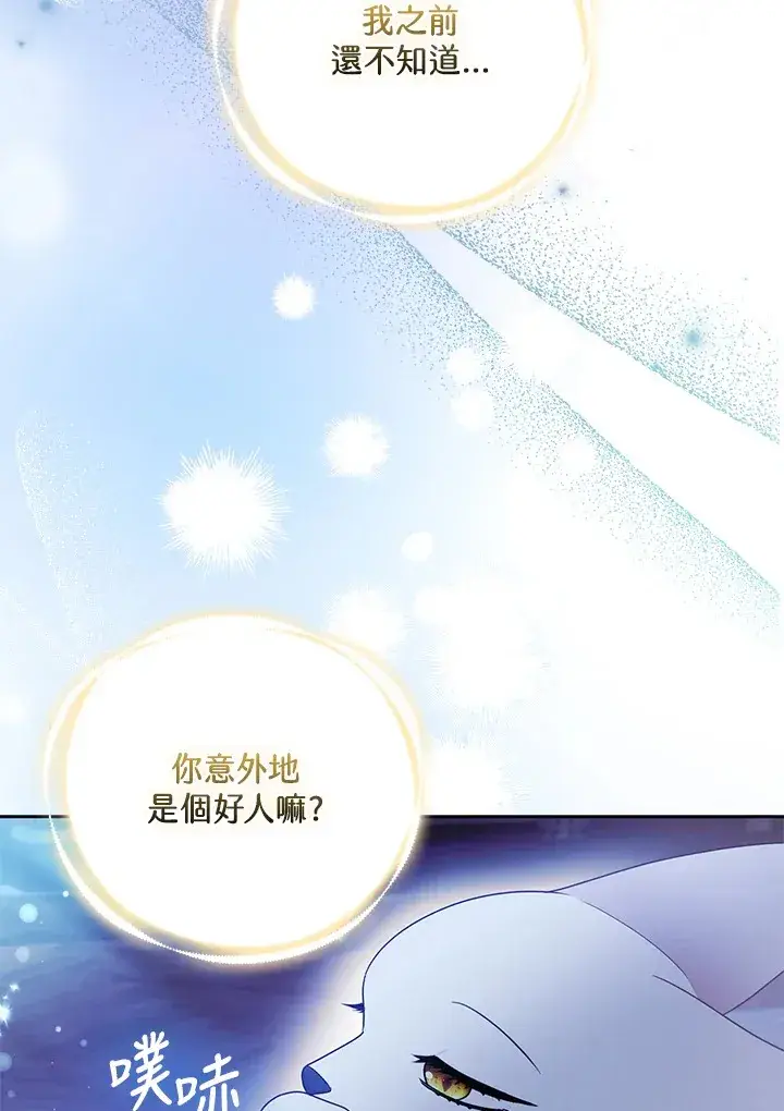 漫画《大公家的狐狸皇女》第24话第64张图