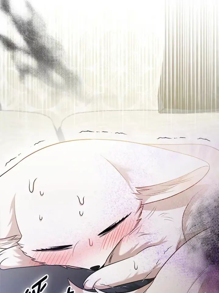 漫画《大公家的狐狸皇女》22.解开误会第72张图