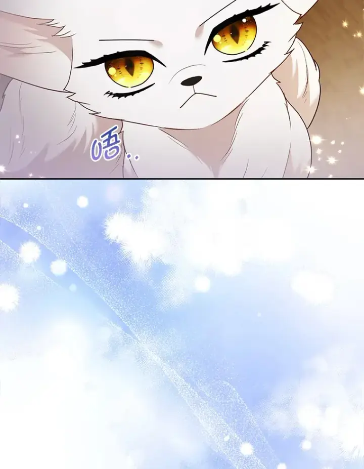 漫画《大公家的狐狸皇女》23.助眠作战第67张图