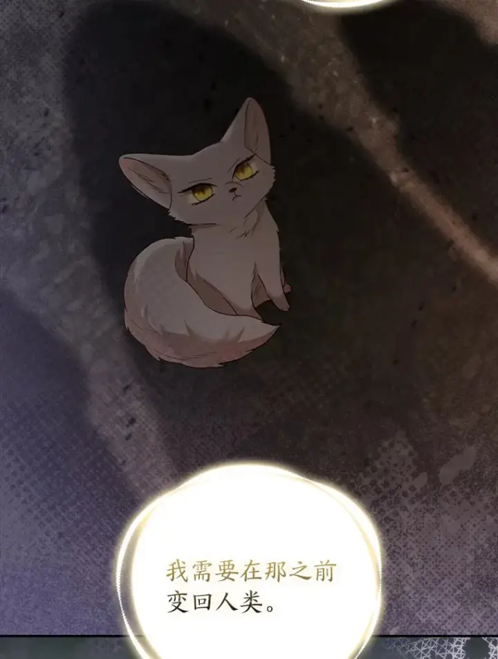 漫画《大公家的狐狸皇女》24.狐狸的贴身侍女第52张图