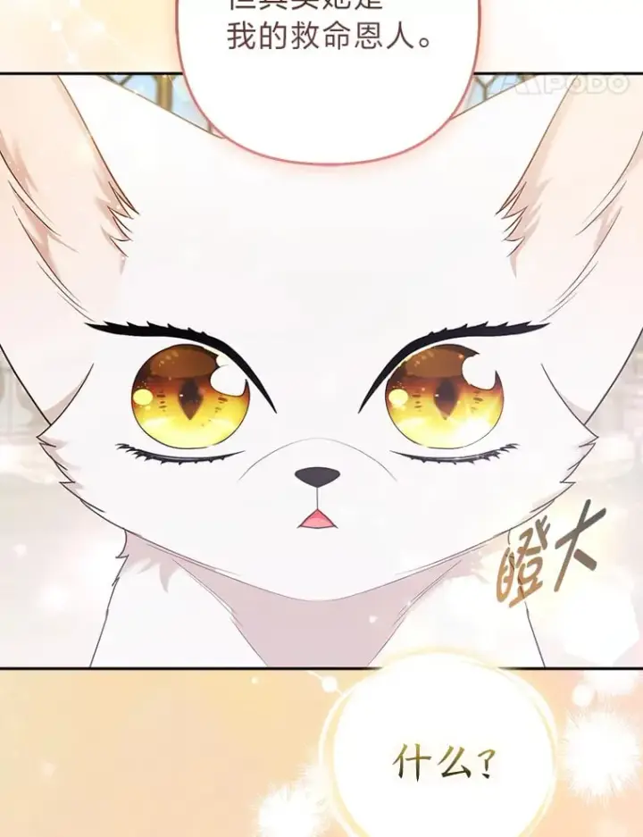漫画《大公家的狐狸皇女》25.侍女的真诚告白第60张图