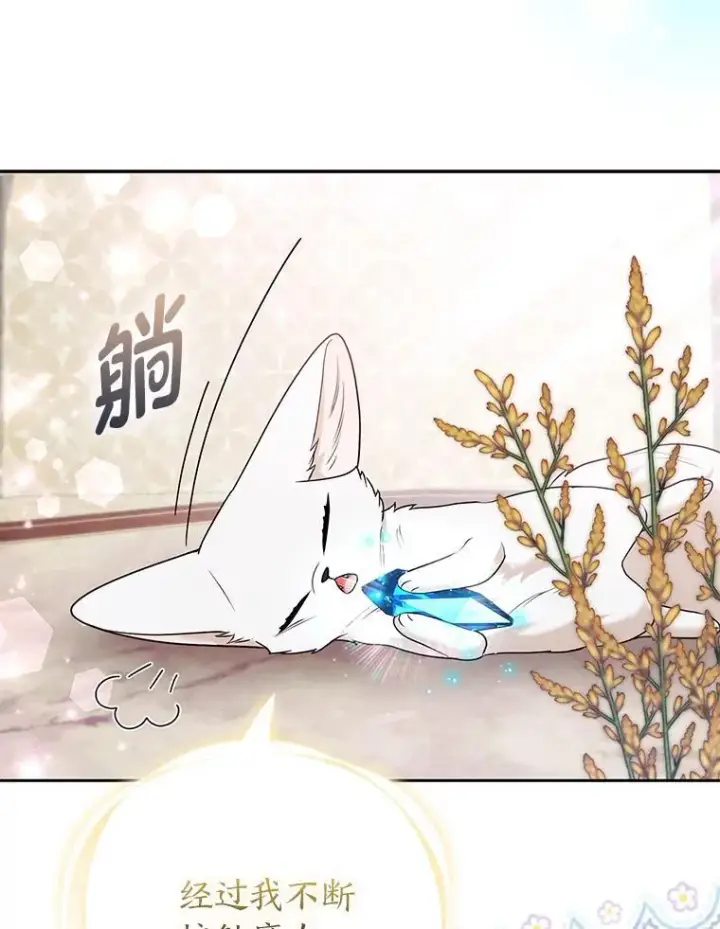 漫画《大公家的狐狸皇女》28.歌剧宴会的邀请第29张图